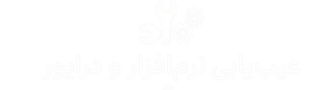 Software-Repair